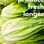 keep lettuce fresh longer