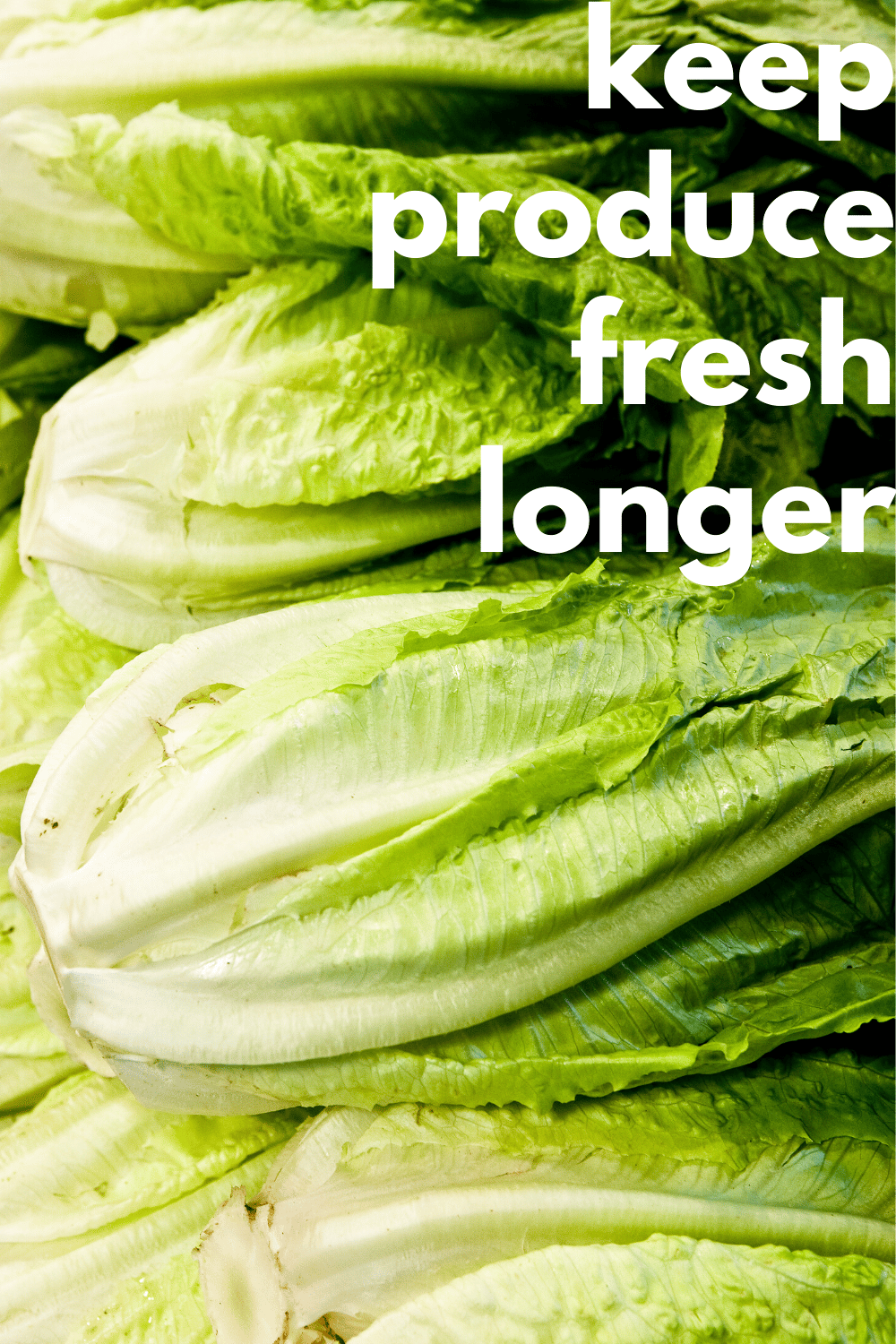 how-to-keep-produce-fresh-longer-nourish-and-nestle