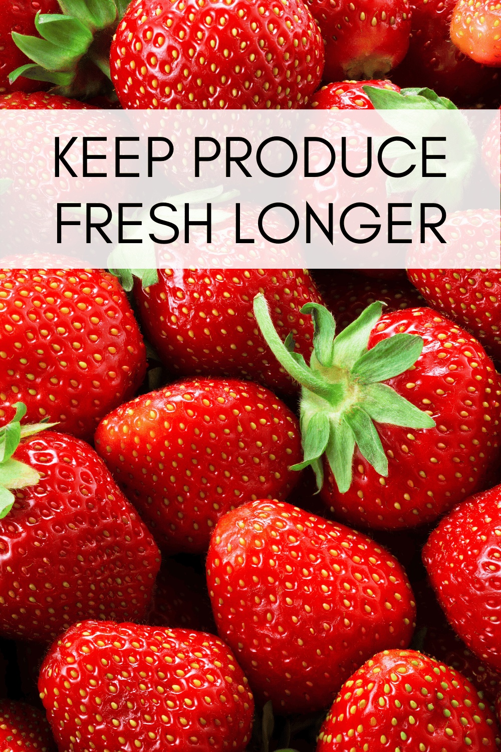 how-to-keep-produce-fresh-longer-nourish-and-nestle