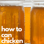 canned chicken stock using Presto Canner