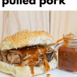 pulled pork bbq on plate with sauce