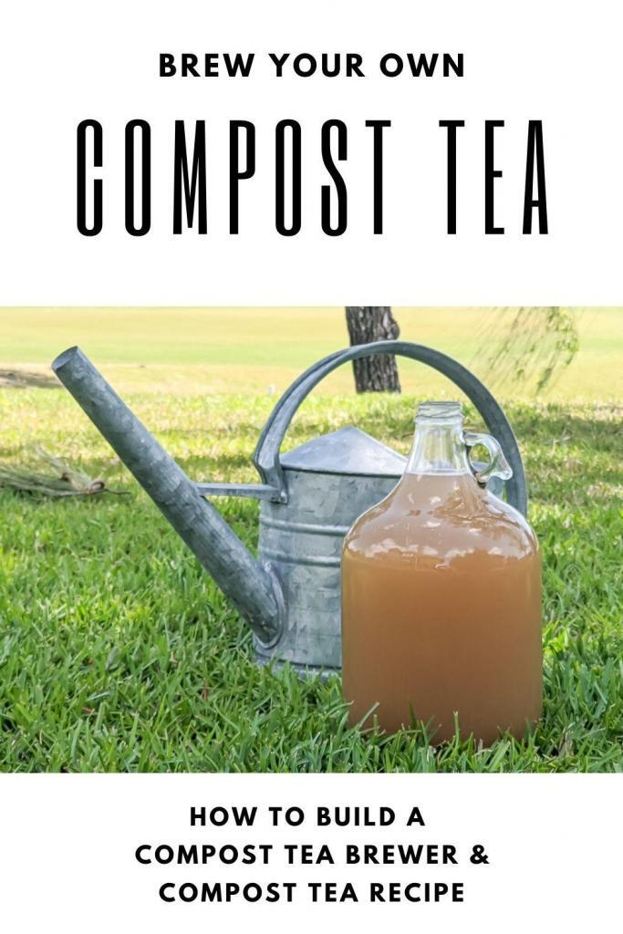 compost tea in front of watering can