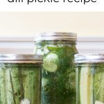 jars of dill pickles