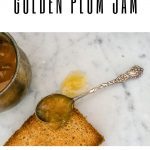 golden plum jam on toast