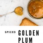 spoonful of golden plum jam
