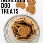 Overhead shot of 3 Ingredient Dog Treats