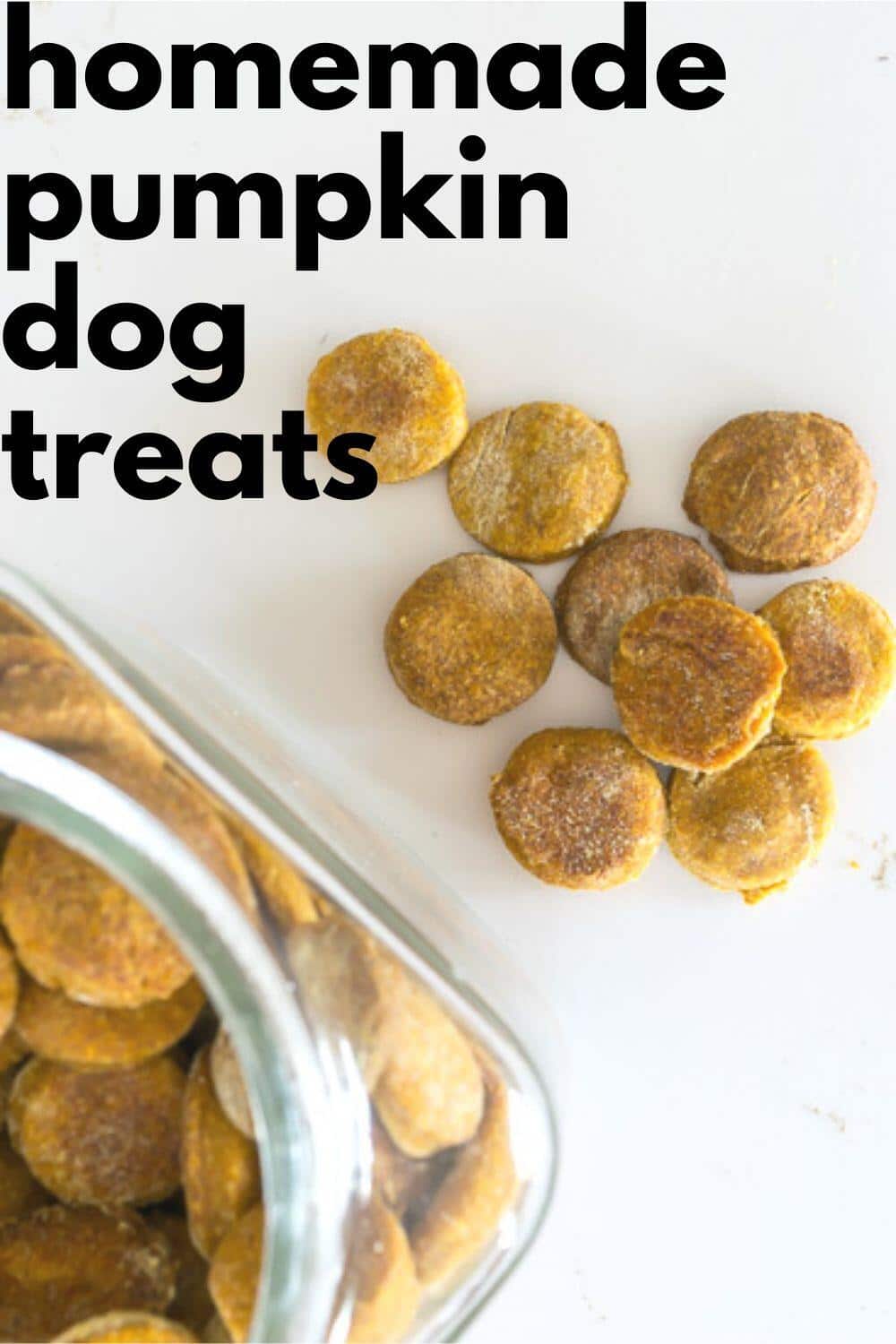 Homemade Pumpkin Dog Treats · Nourish and Nestle