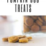closeup of pumpkin dog treats with jar in the background