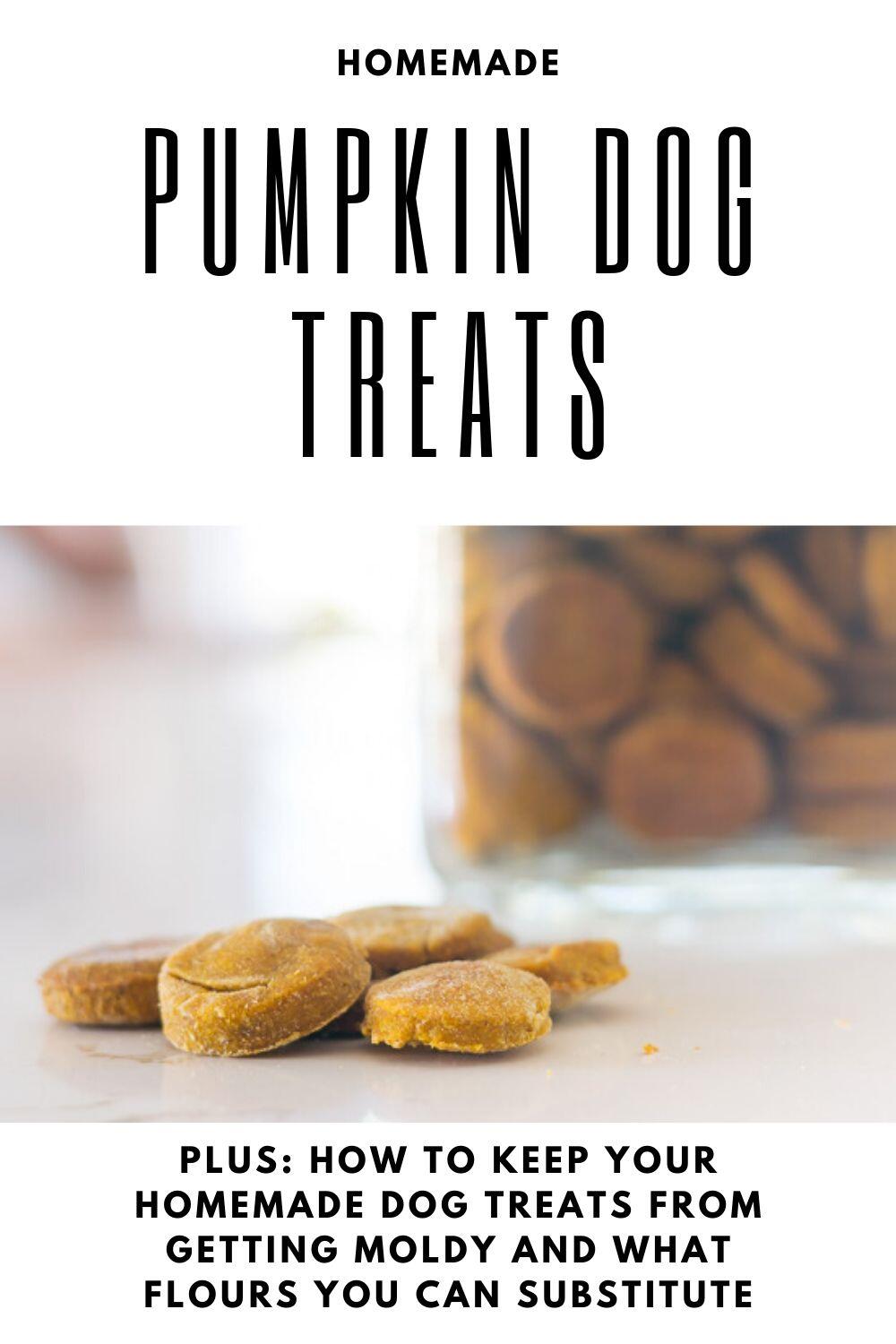 Homemade Pumpkin Dog Treats · Nourish and Nestle
