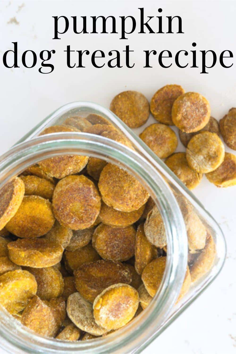 Homemade Pumpkin Dog Treats · Nourish and Nestle
