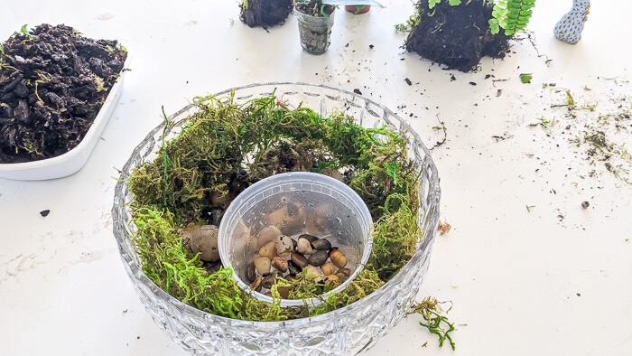 Add a layer of moss around the side of the bowl as a starting point for the tabletop garden
