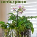 Finished Living Centerpiece