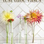 DIY Test Tube Vases with Flowers