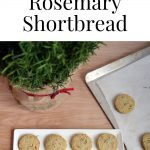 overhead of brown butter rosemary shortbread with rosemary bush in the background