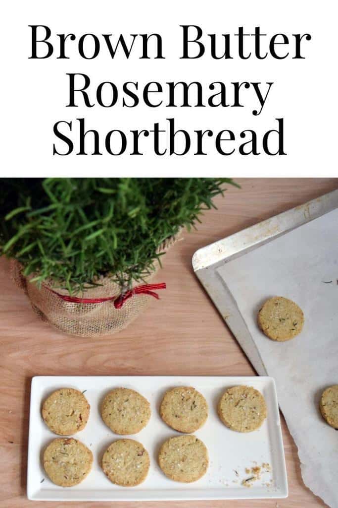 overhead of brown butter rosemary shortbread with rosemary bush in the background