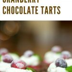 Close Up of Cranberry Chocolate Tarts