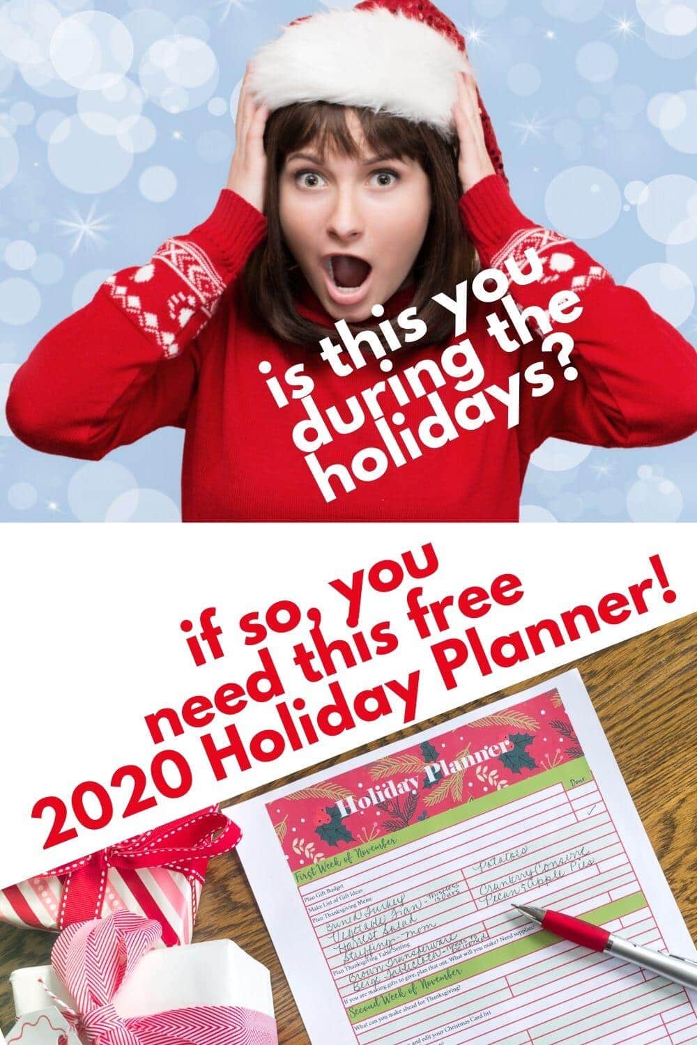 Ultimate 2020 Holiday Planner Tips & Checklist — Nourish and Nestle