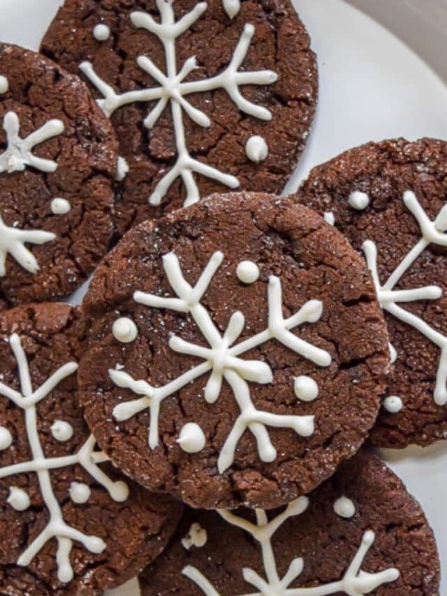 Pennsylvania Dutch Chocolate Cookies Story