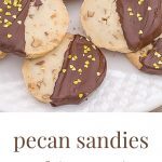 plate of pecan sandies cookies.