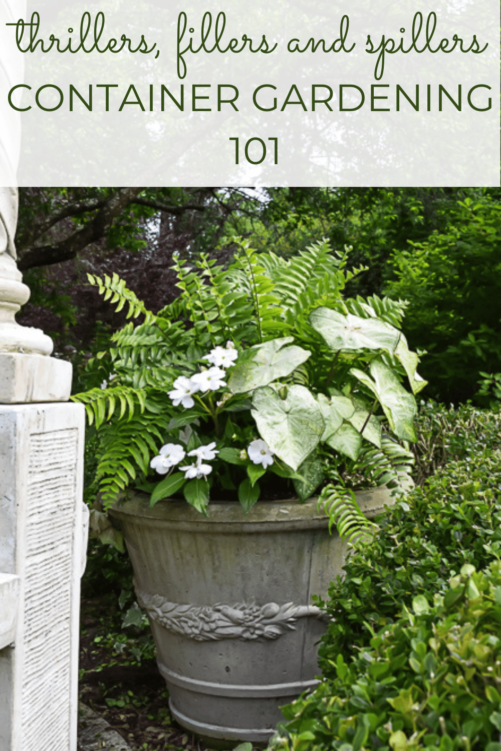 Container Gardening Basics: Thrillers, Fillers and Spillers · Nourish ...