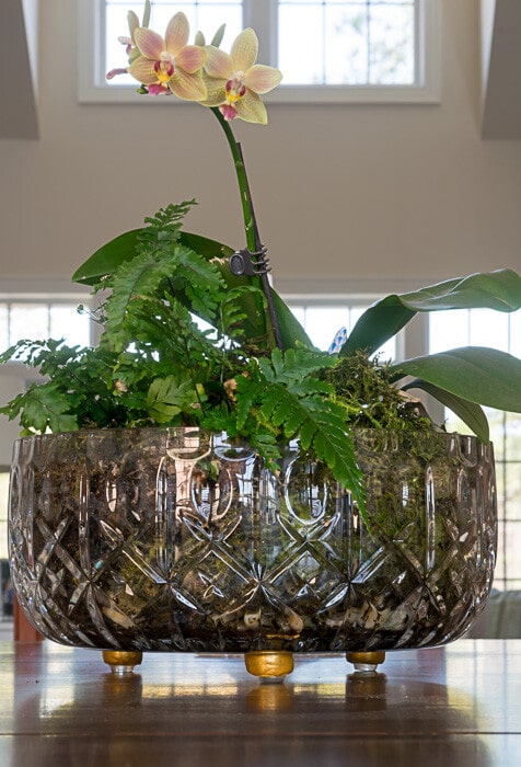 Crystal Bowl with ferns and an orchid lifted off of the table with gold pot feet.