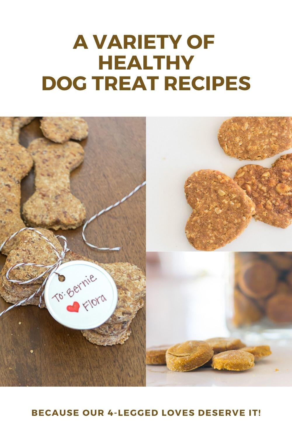 Pin showing a collage of a variety of dog treats recipes.