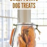 Sweet Potato Dog Treats in a jar in front of a window.