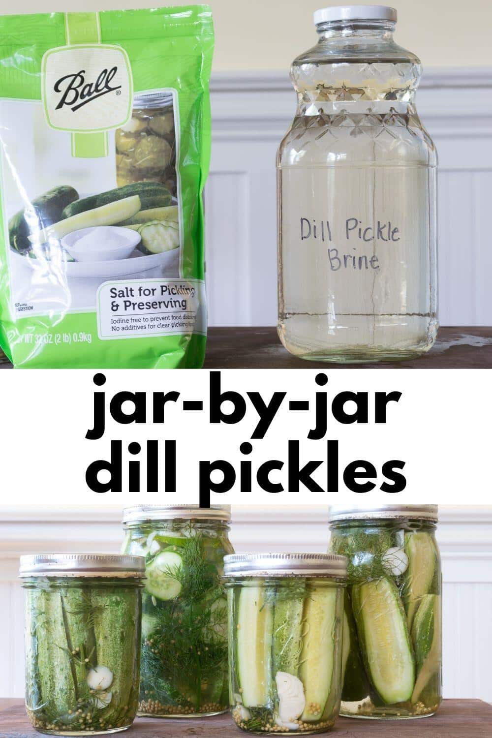 Dill Pickle Recipe JarbyJar, Refrigerator · Nourish and Nestle