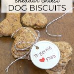 cheddar cheese dog biscuits with a gift tag.