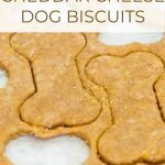 Cheddar Cheese Dog Biscuit dough cut into dog biscuit shapes.