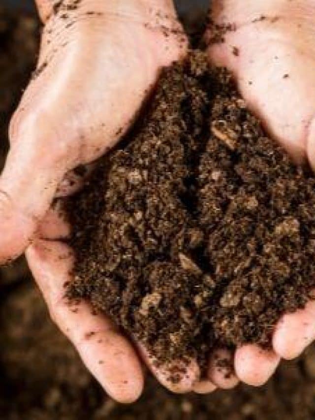 Why and How to compost image of hands with dirt.