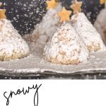 Snow Covered Coconut Christmas Trees with powdered sugar snow falling.