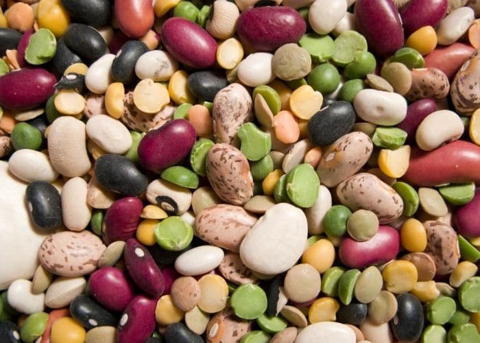 Variety of Dried Bean.