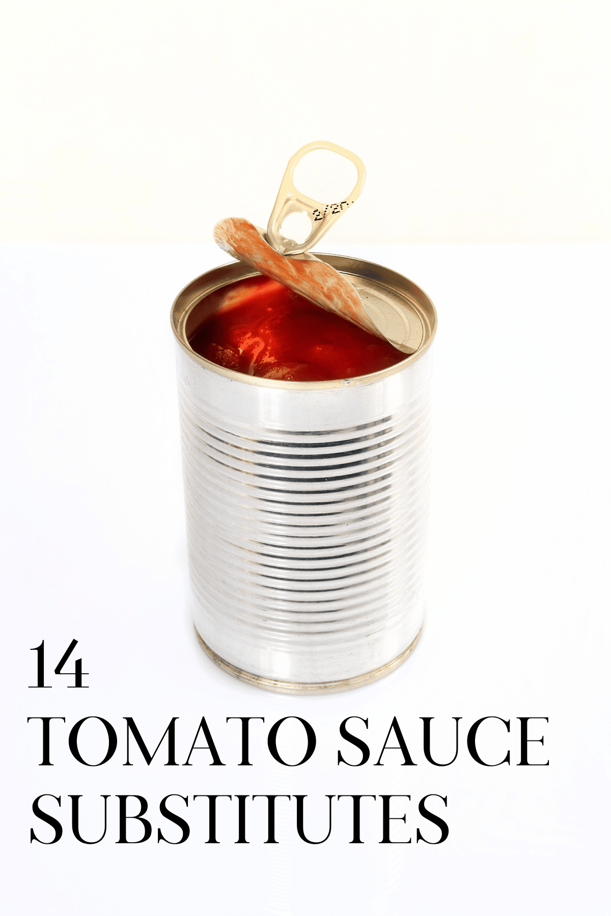 16 Substitutes for Tomato Sauce · Nourish and Nestle