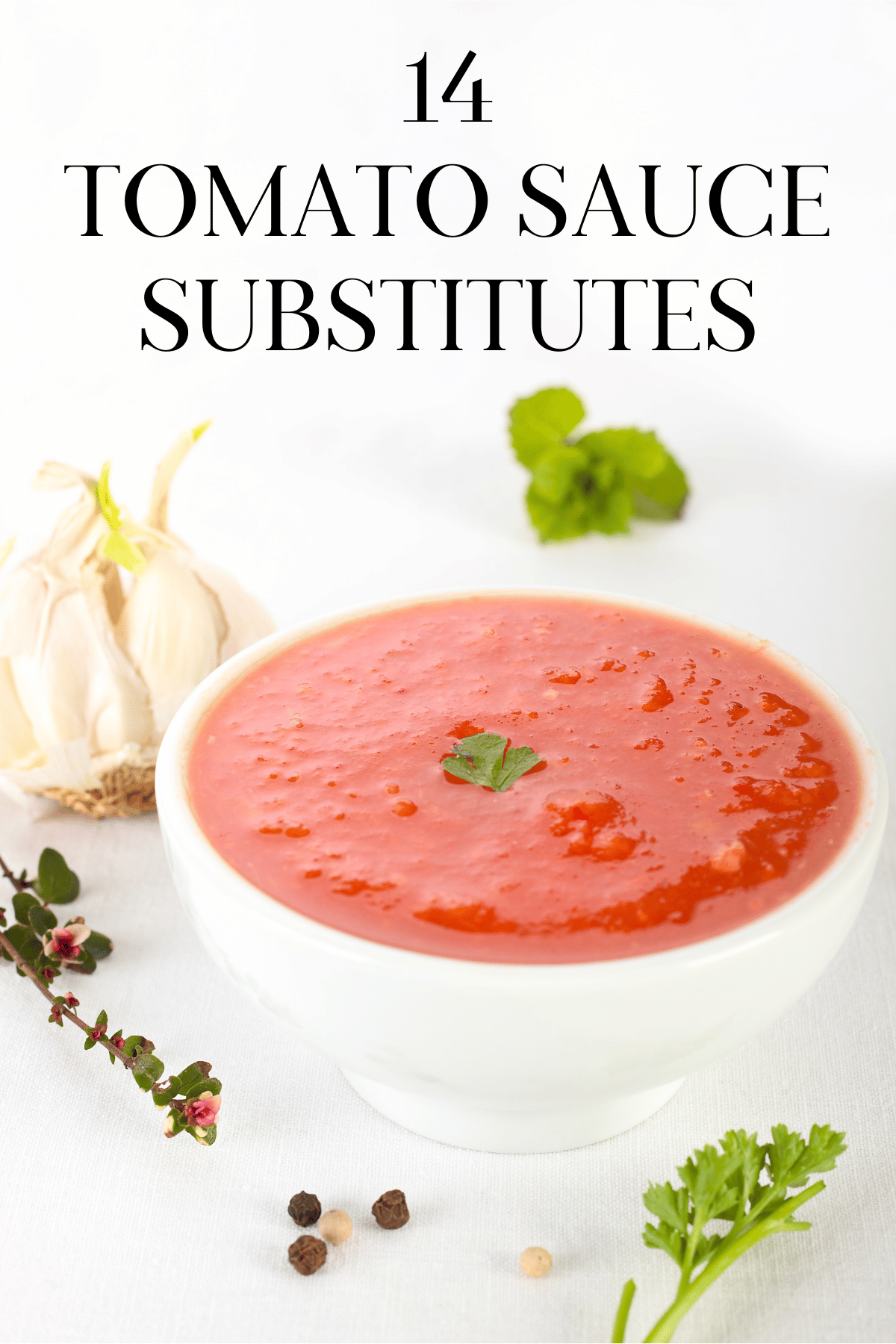 16 Substitutes for Tomato Sauce · Nourish and Nestle