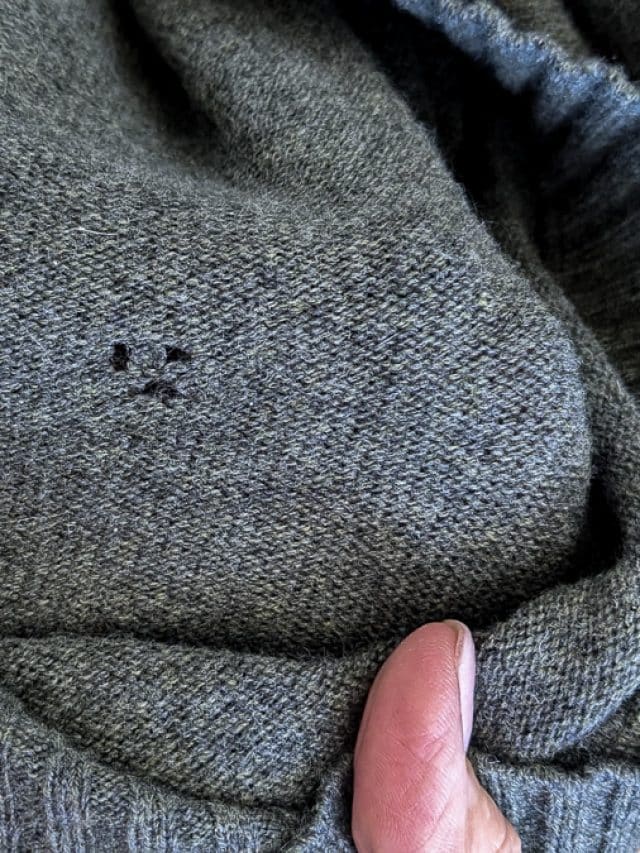 moth holes in a cashmere sweater