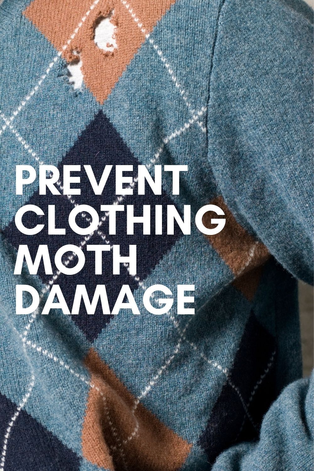 Keep the Moths that Eat Clothes Out of Your Home · Nourish and Nestle