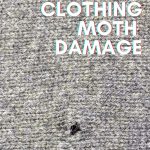 a piece of knit fabric with damage from a moth that eats clothes.