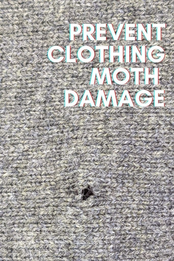 a piece of knit fabric with damage from a moth that eats clothes.