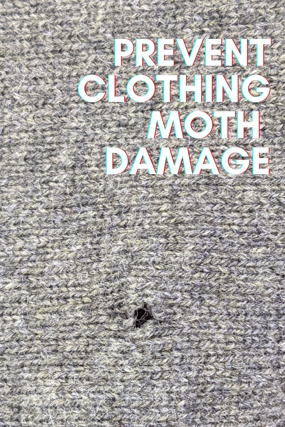 Keep the Moths that Eat Clothes Out of Your Home · Nourish and Nestle