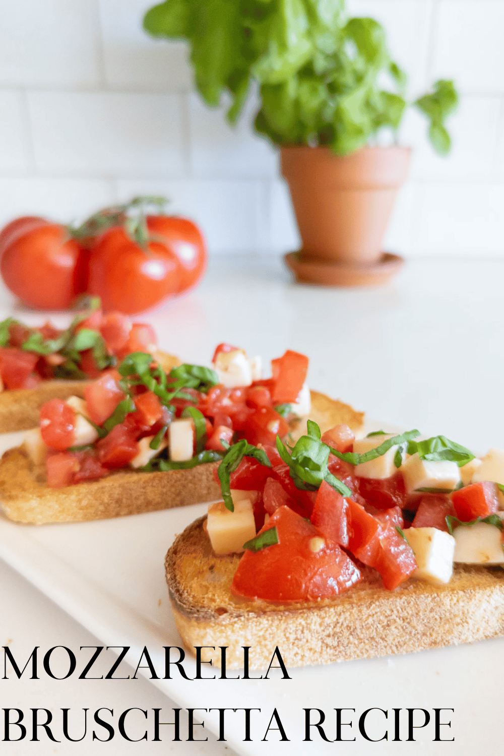 Mozzarella Bruschetta Recipe · Nourish and Nestle