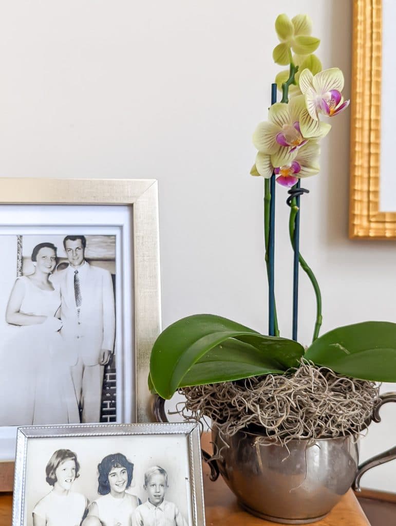 Framed black and white photo with an orchid.
