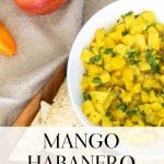 Bowl of Mango Habanero Salsa with a mango and habanero pepper.