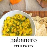 Bowl of Mango Habanero Salsa with a mango and habanero pepper.