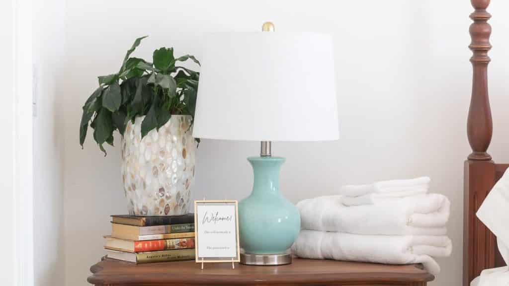 A pale blue lamp with a white shade on a table with a plant in the background.