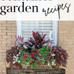 Window Box and Container Garden Inspiration