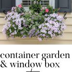Window Box and Container Garden Inspiration