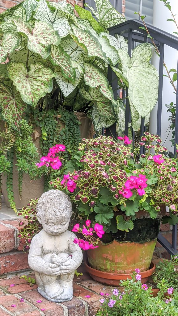 Pink flowers and caladiums in a flower pot with small child statue.