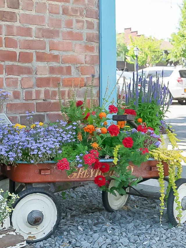 cropped-garden-in-wagon-1.jpg