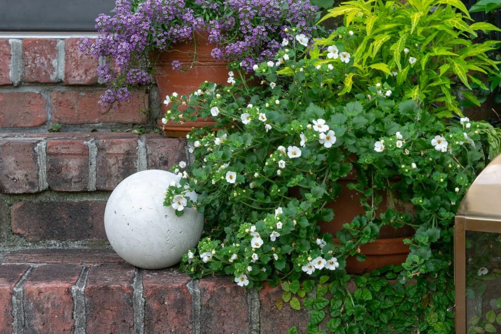 Concrete Garden Ball on brick steps, with plants.